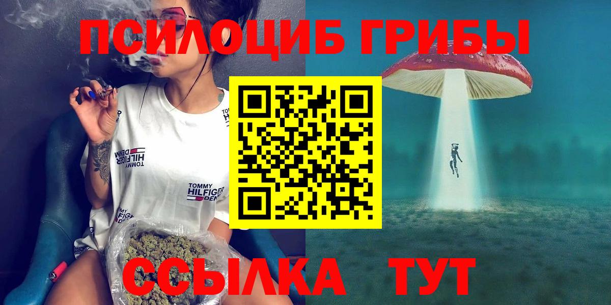 Аша  Галлюциногенные грибы Psilocybe  Вход с VPN 